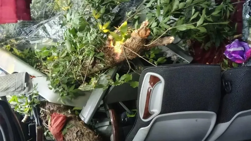 Автобус с 43 пассажирами опрокинулся в ЛНР: семеро пострадавших доставлены в больницы