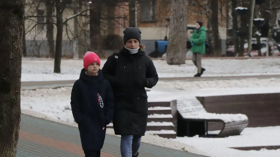 Фото: Министерство благоустройства Московской области