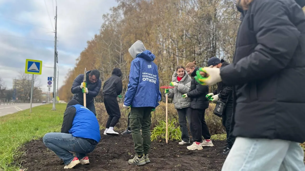 Картинка