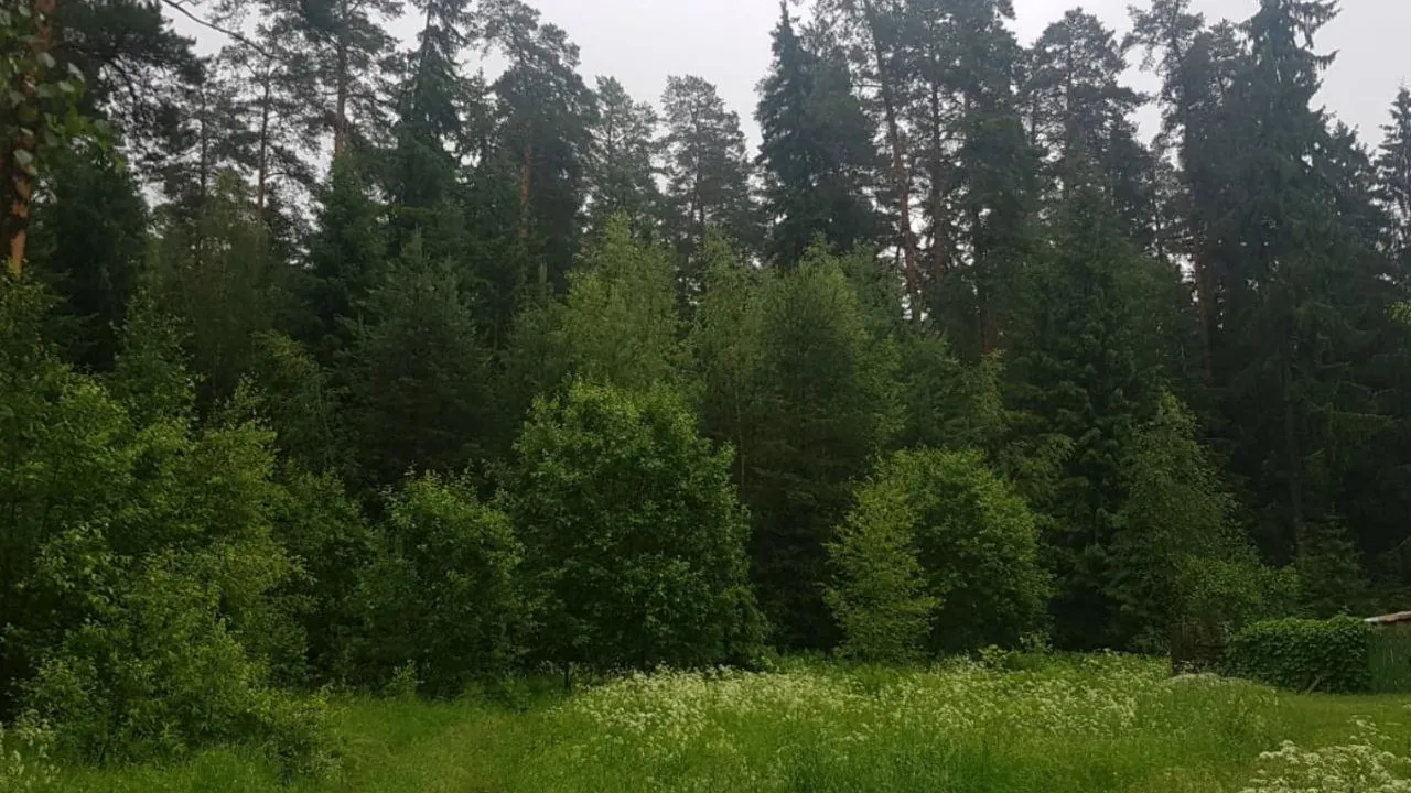 Фото: предоставлено Алексеем Ефремовым