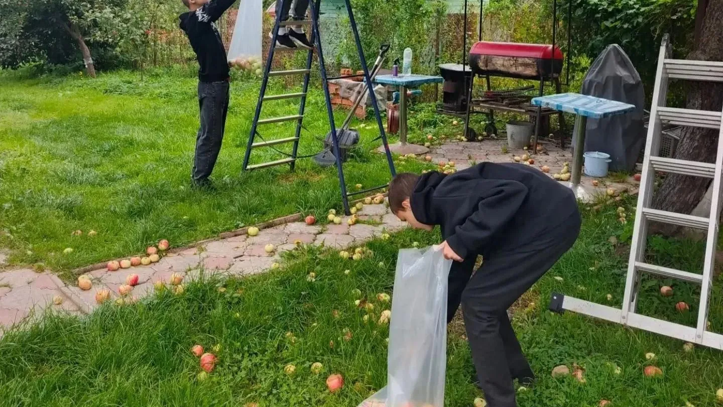 Картинка