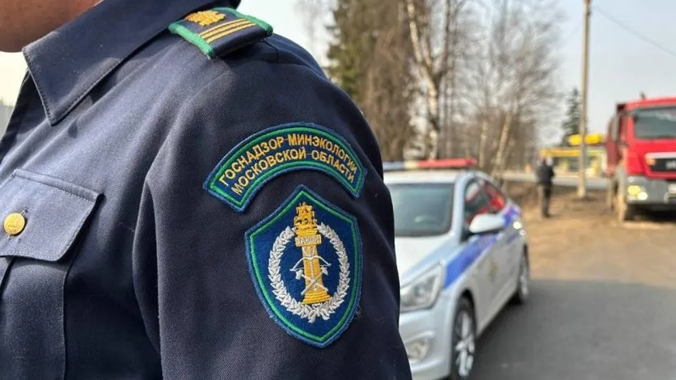 Фото: Министерство экологии и природопользования Московской области