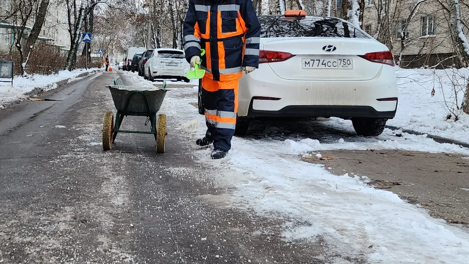 Фото: МедиаБанк Подмосковья/Андрей Алекин