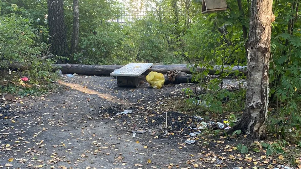 Фото: Ольга Войтова