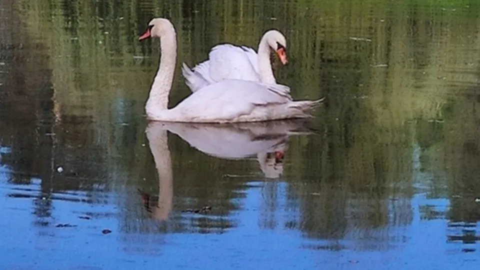 Фото: пресс-служба администрации г.о. Долгопрудный