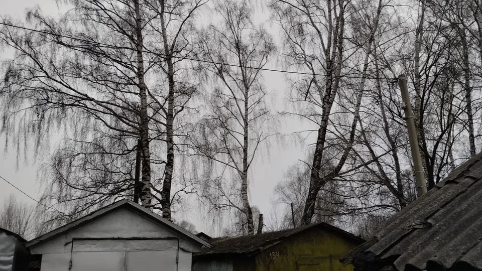 Фото: пресс-служба администрации г.о. Серебряные Пруды