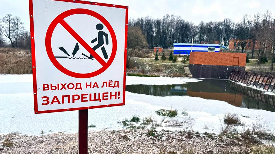Фото: МедиаБанк Подмосковья/Лилия Закирова