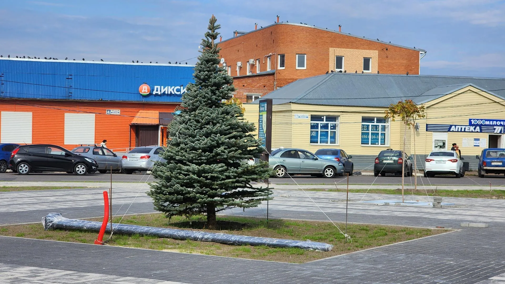 Картинка