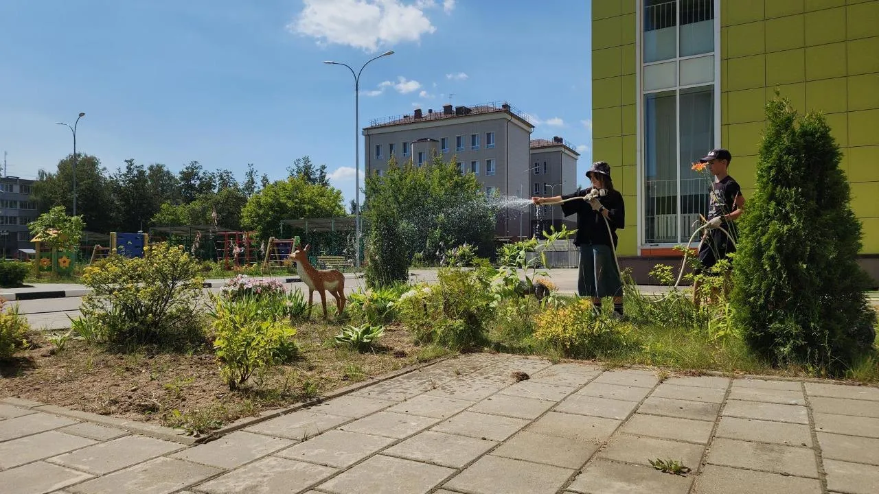 Картинка