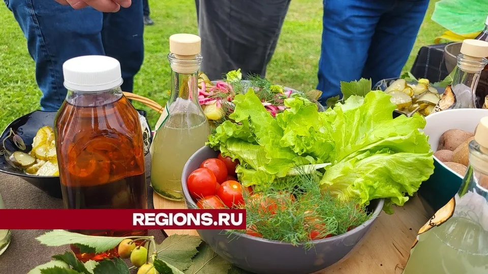 Фото: REGIONS/Александр Дрожжин