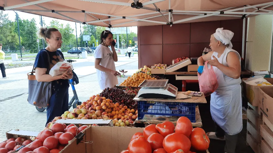Фото: МедиаБанк Подмосковья/Михаил Мартыненко