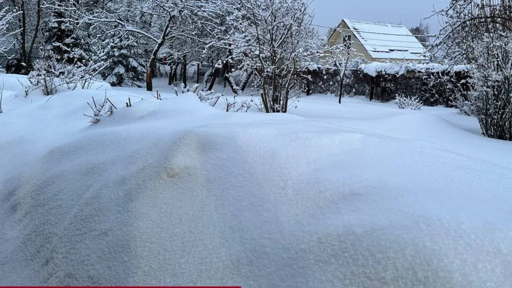 фото: А. Серова.