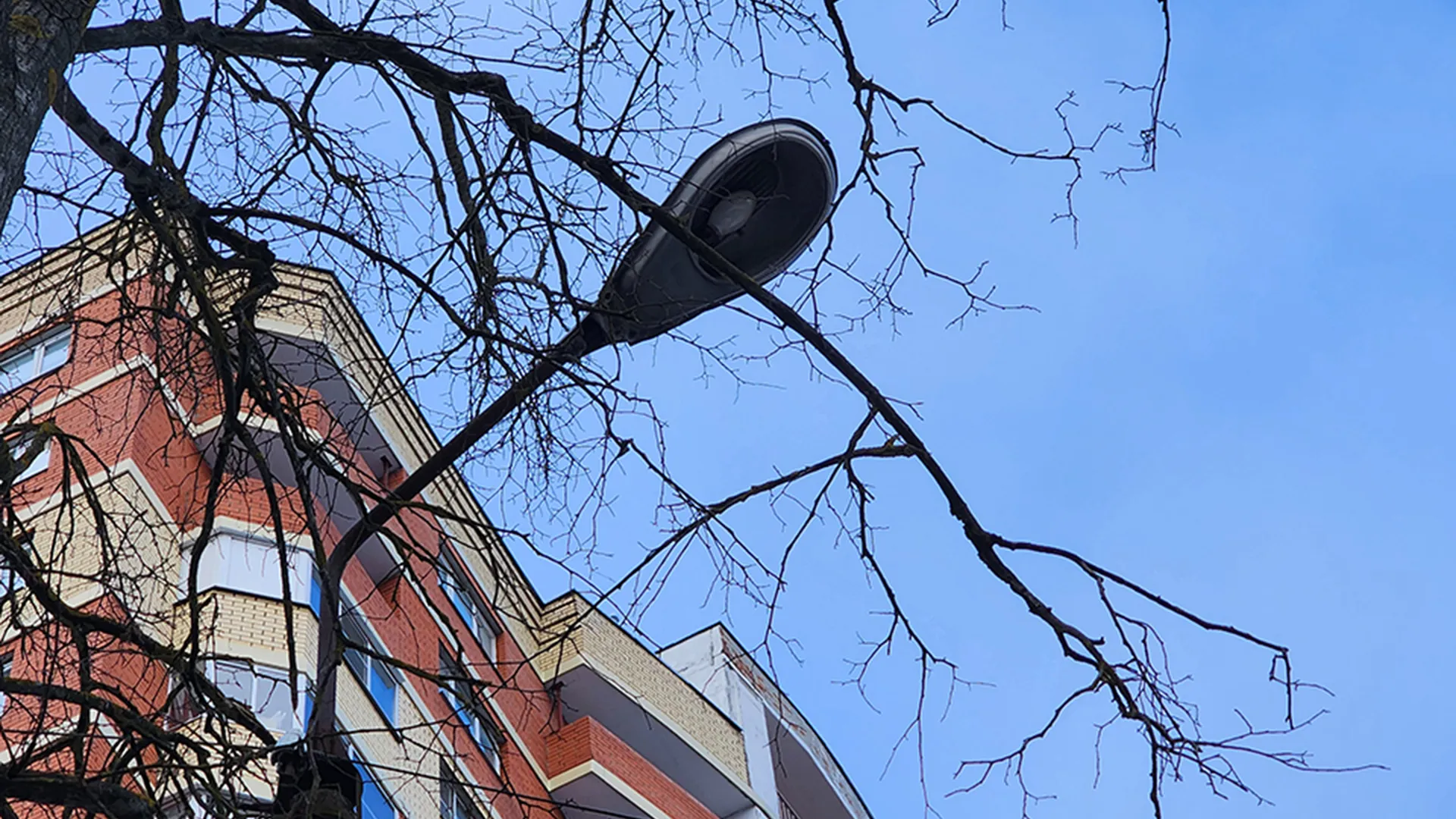 Фото: МедиаБанк Подмосковья/Валентина Максимова