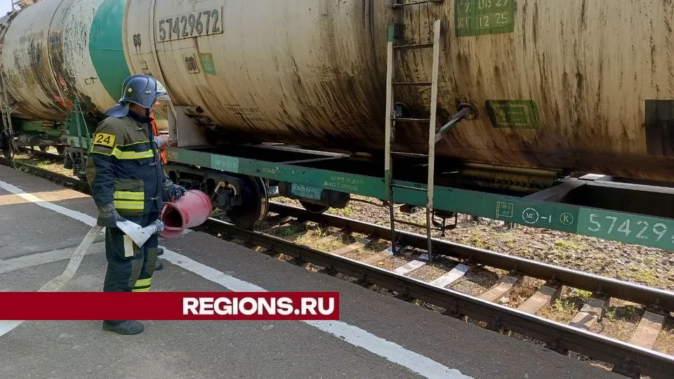 Фото: Администрация городского округа Луховицы