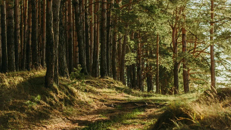 Фото: unsplash.com
