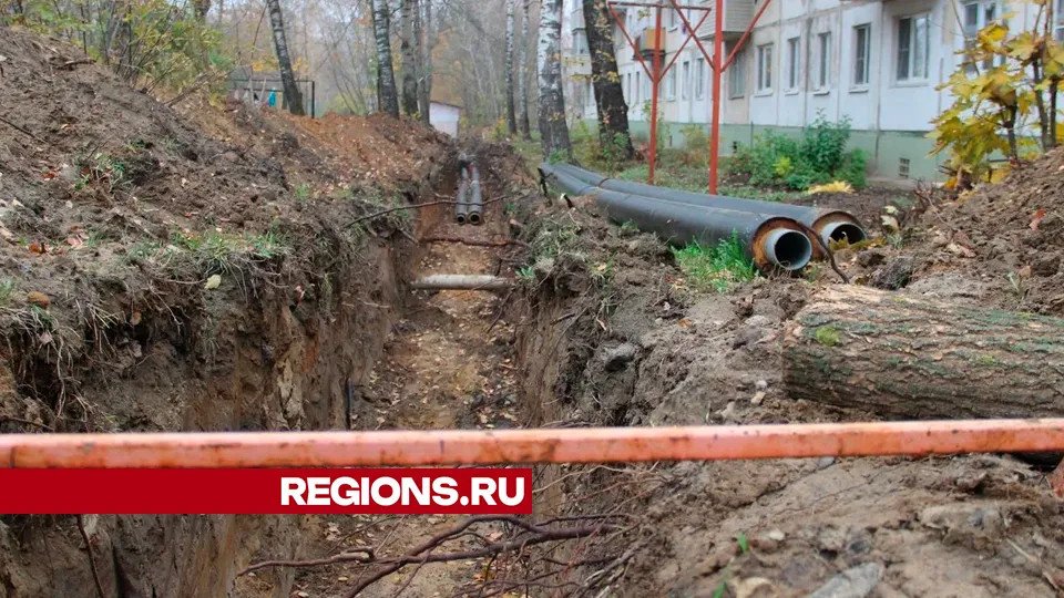Фото: REGIONS/Василий Тремасов
