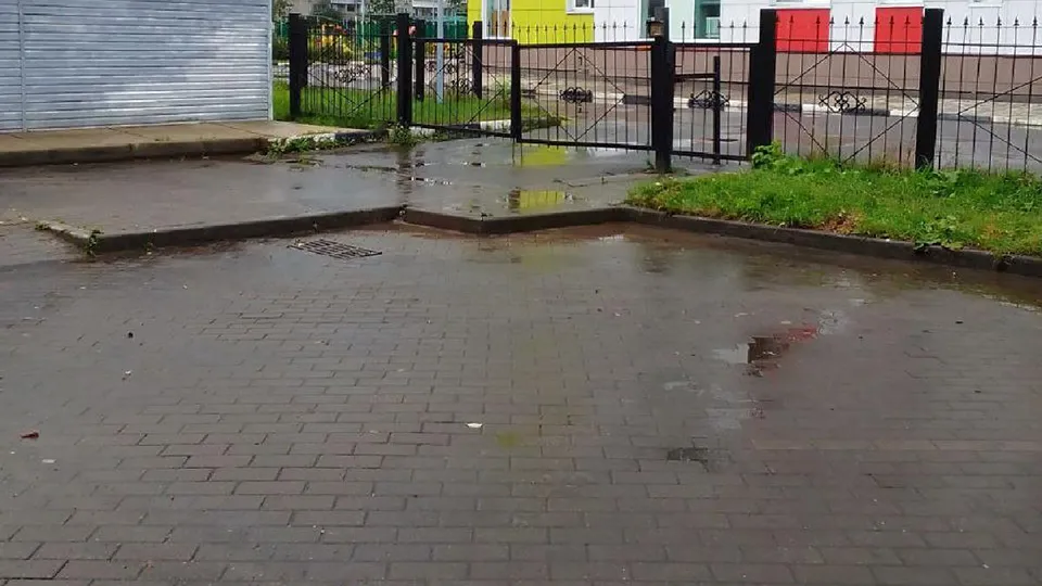 Фото: администрация Лосино-Петровского г.о.