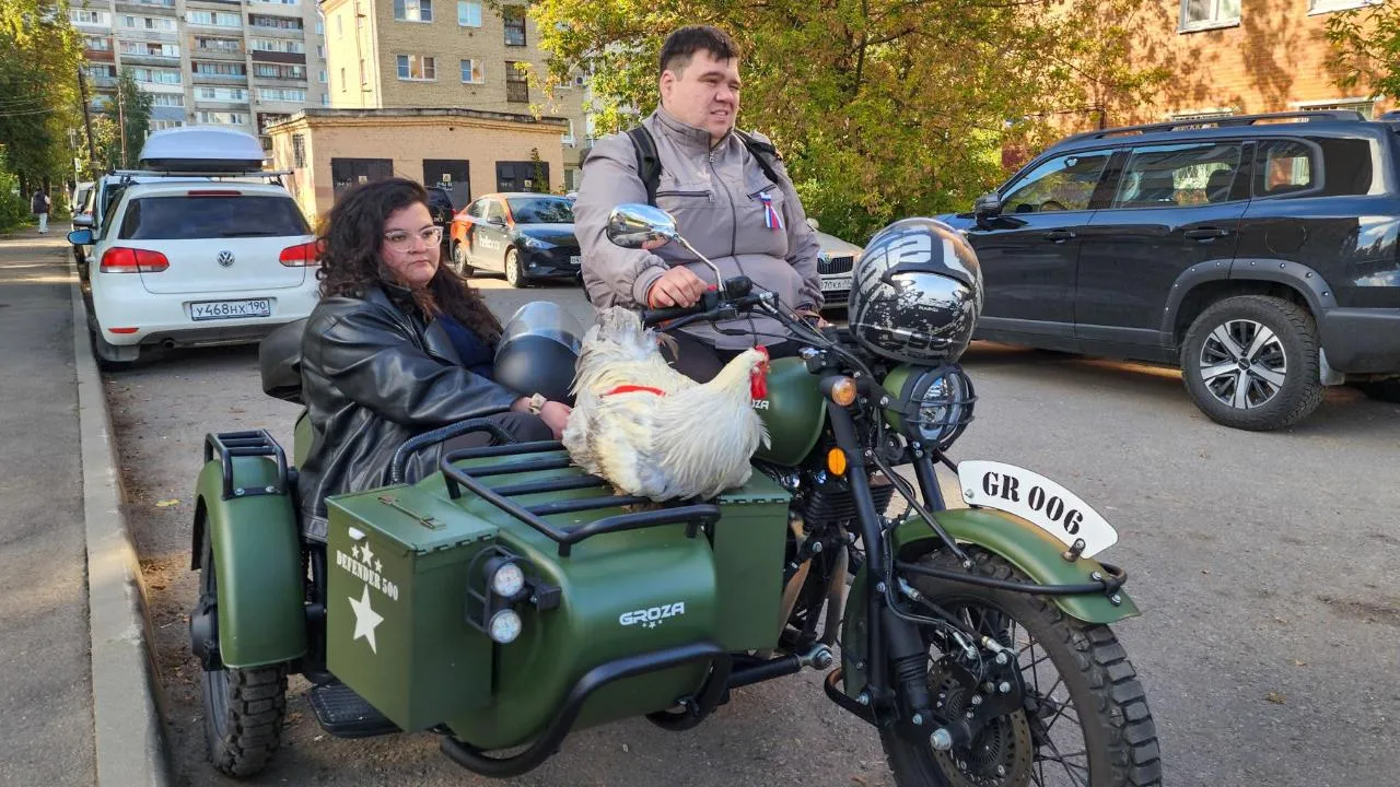 Картинка