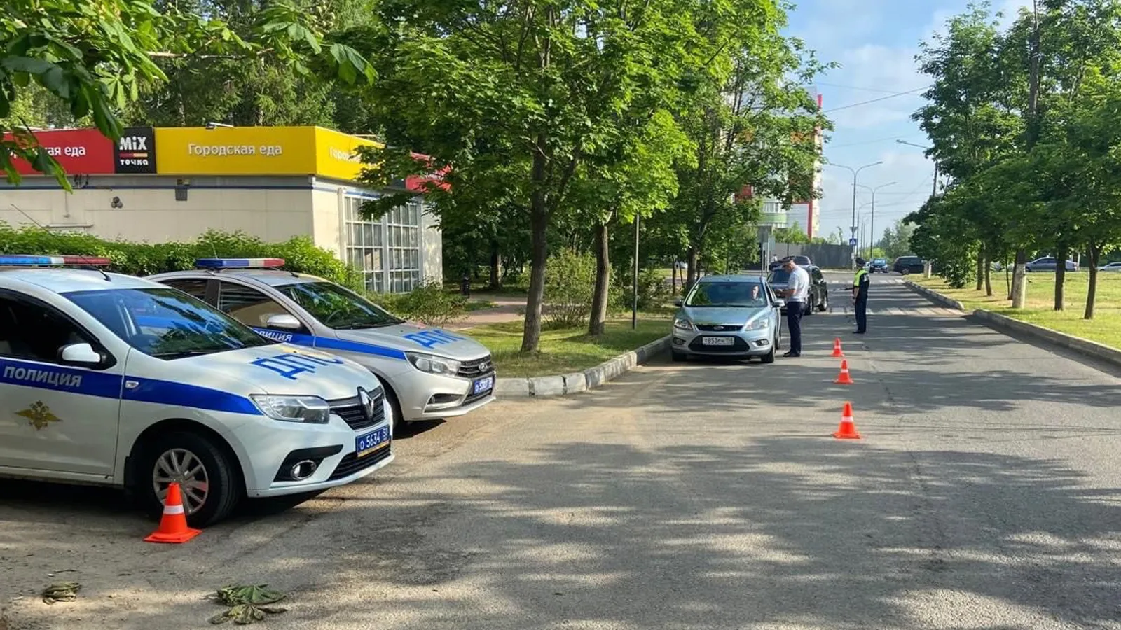 Фото: Пресс-служба ОМВД России по г.о. Ступино