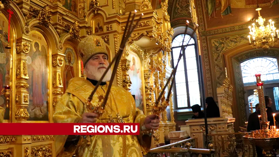 Фото: REGIONS/Василий Тремасов
