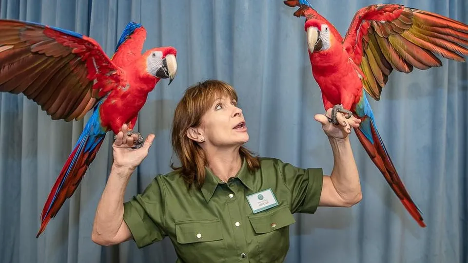 Фото: пресс-служба администрации Одинцовского городского округа