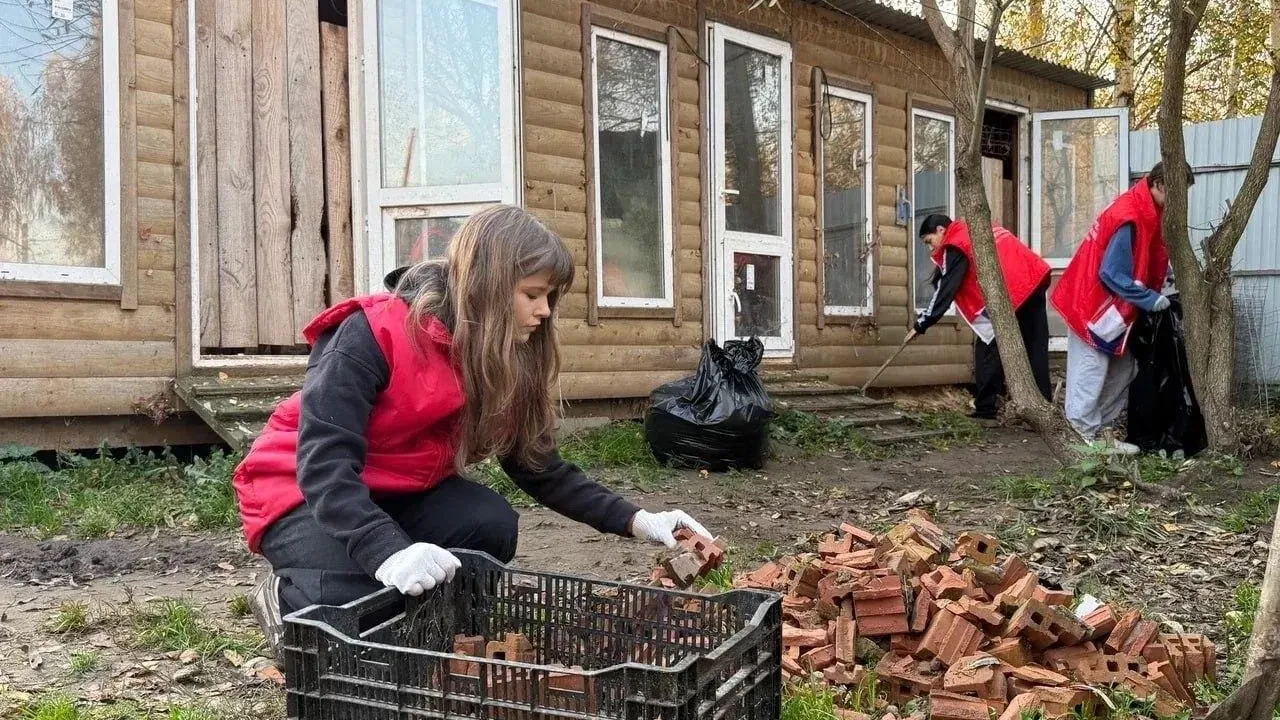 Картинка