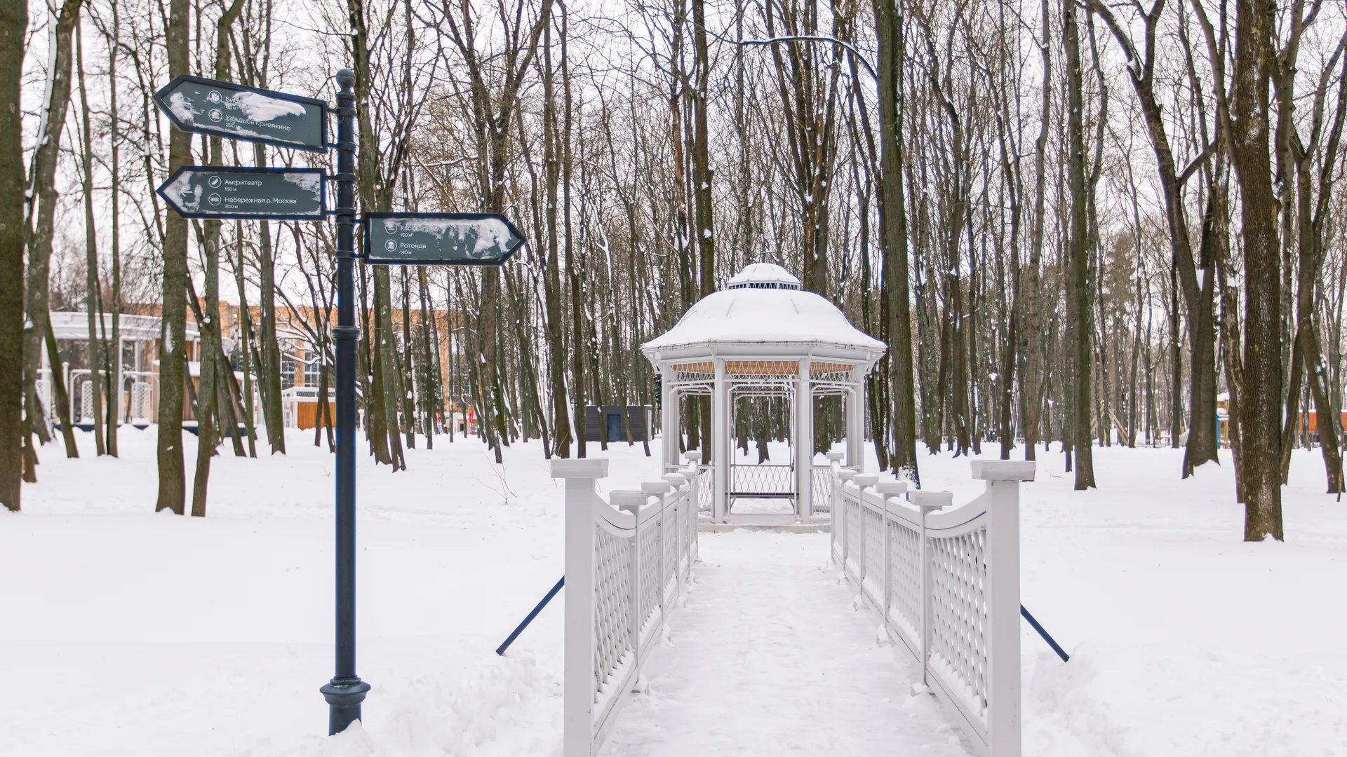 Фото: медиасток.рф