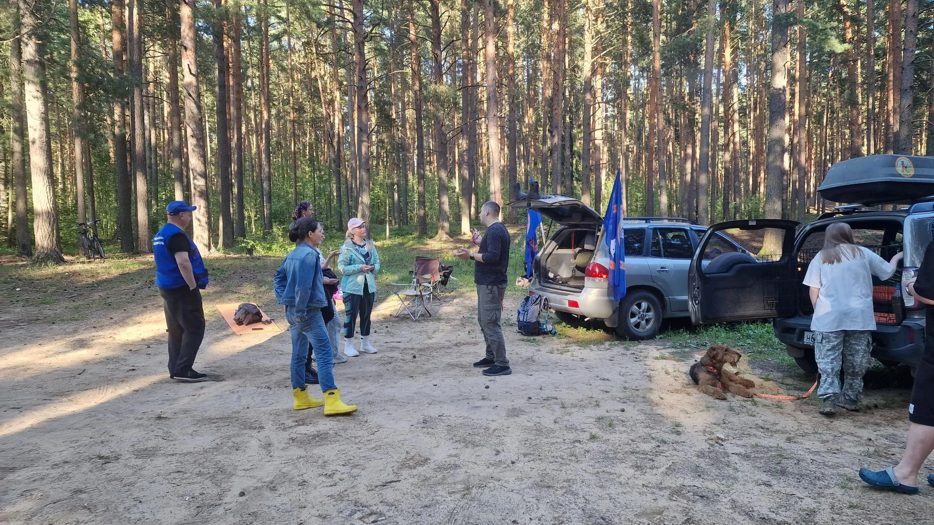 Картинка