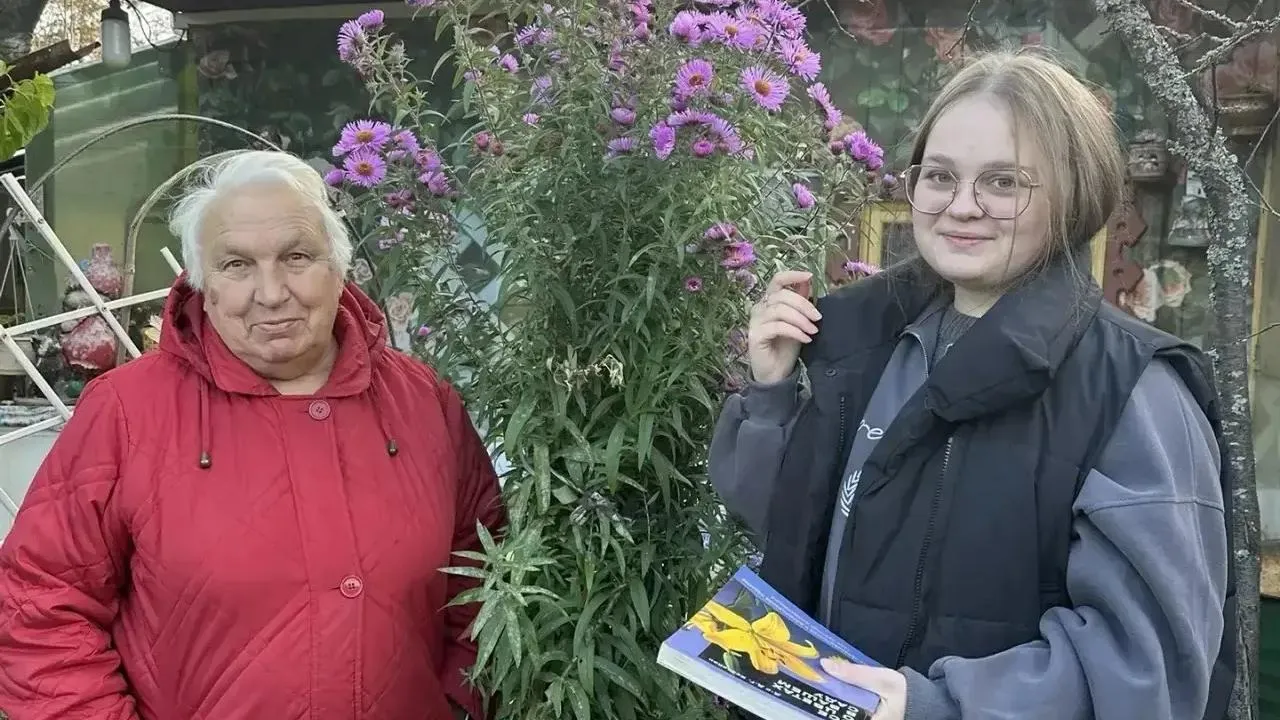 Картинка