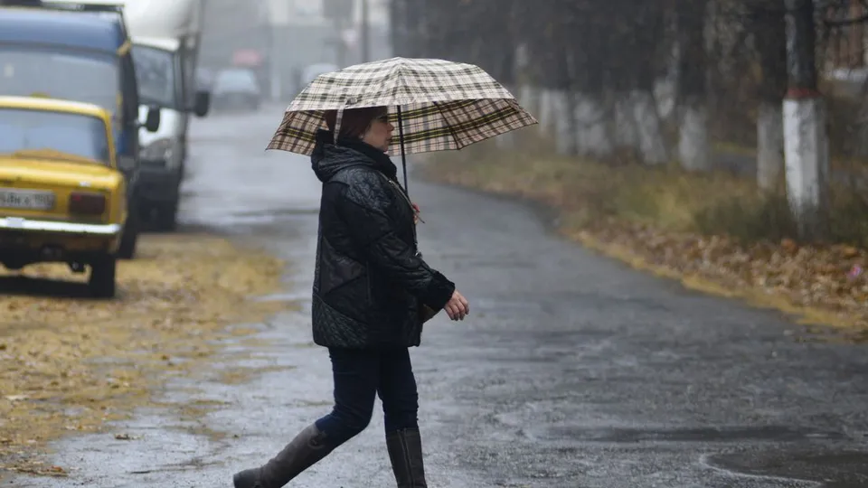Фото: медиасток.рф