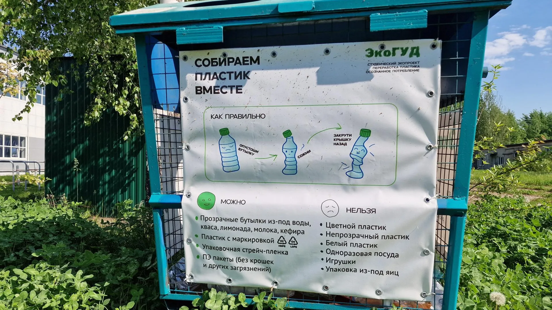 Картинка