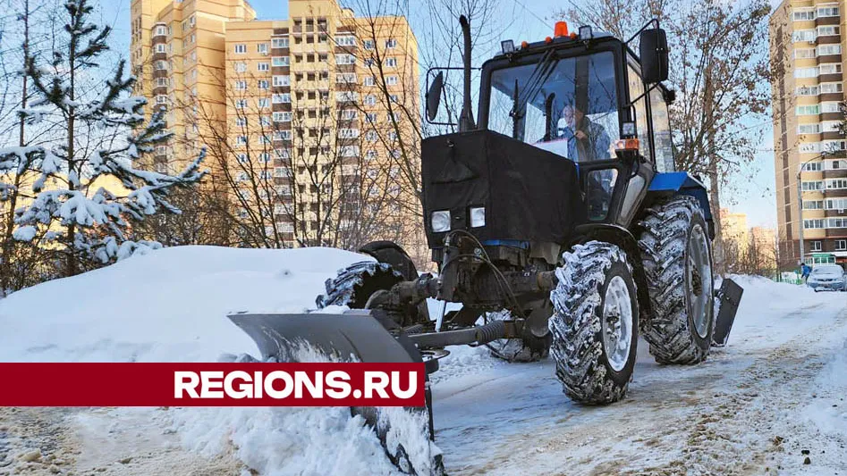 Фото: Валерия Тингаева