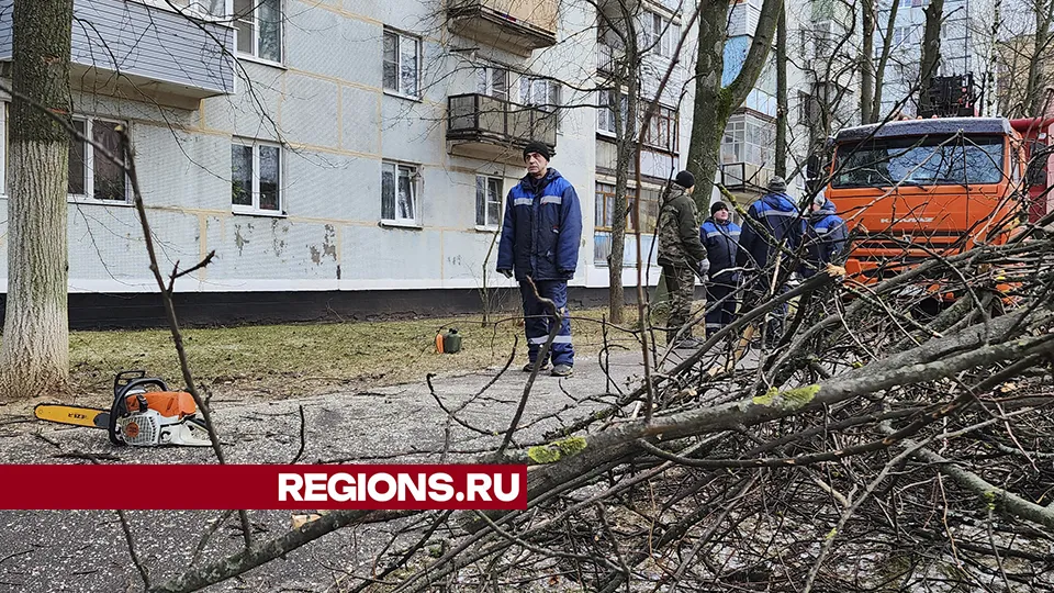 Фото: Андрей Семибратов