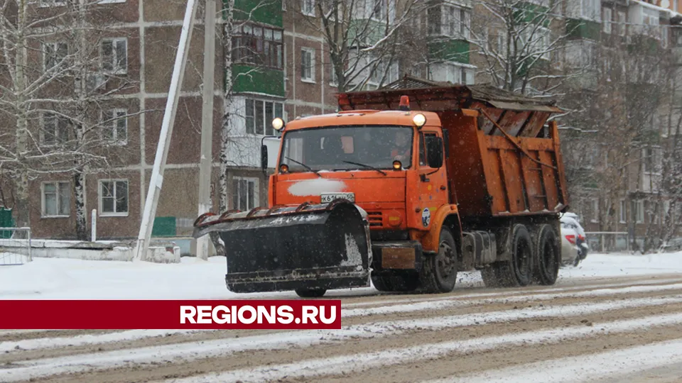 Фото: REGIONS/Василий Тремасов