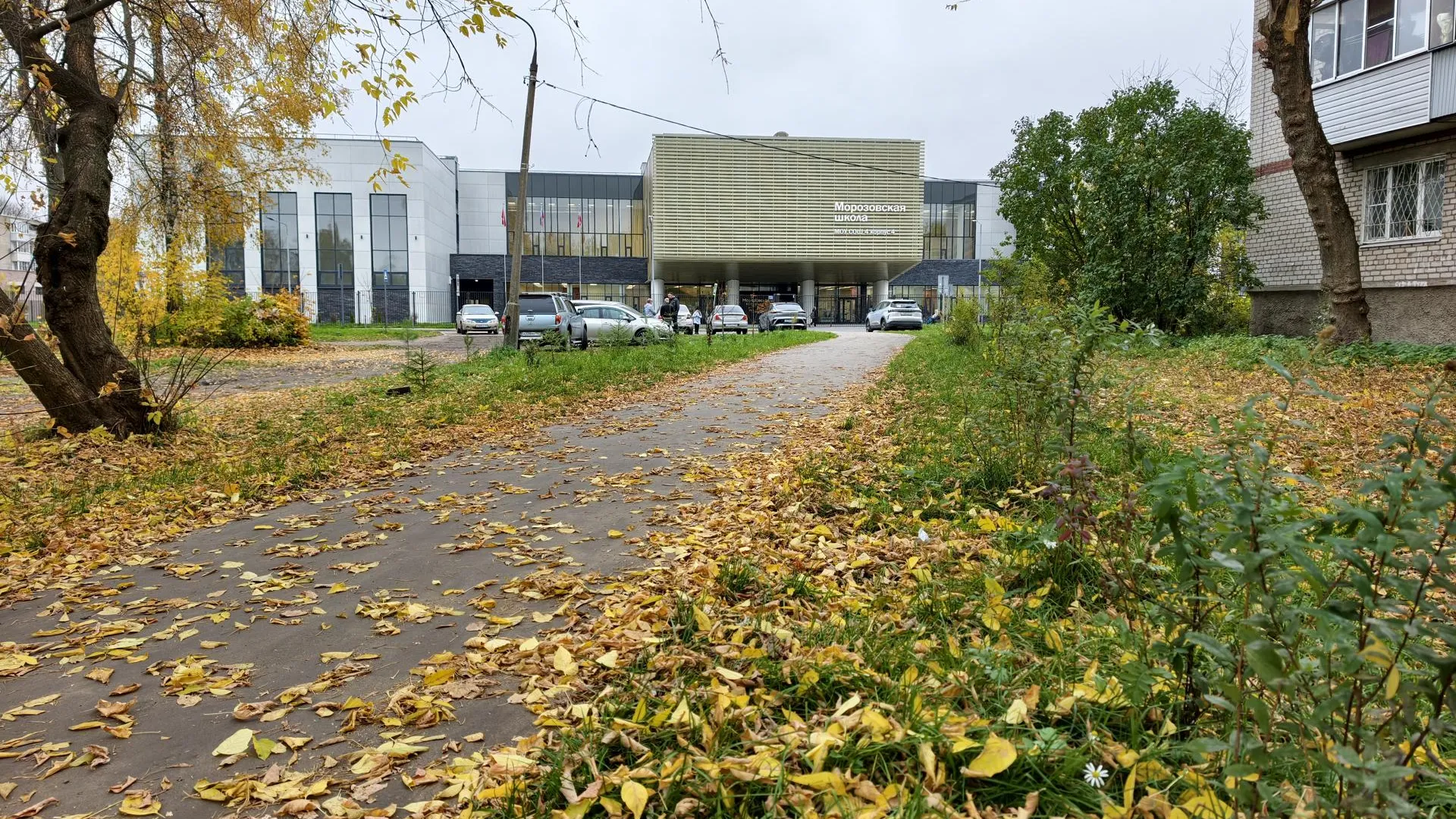 Картинка