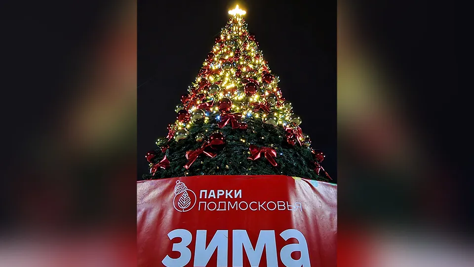 Фото: Андрей Башинский