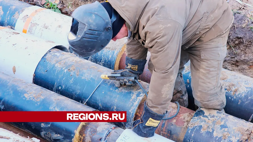 Фото: REGIONS/Василий Тремасов