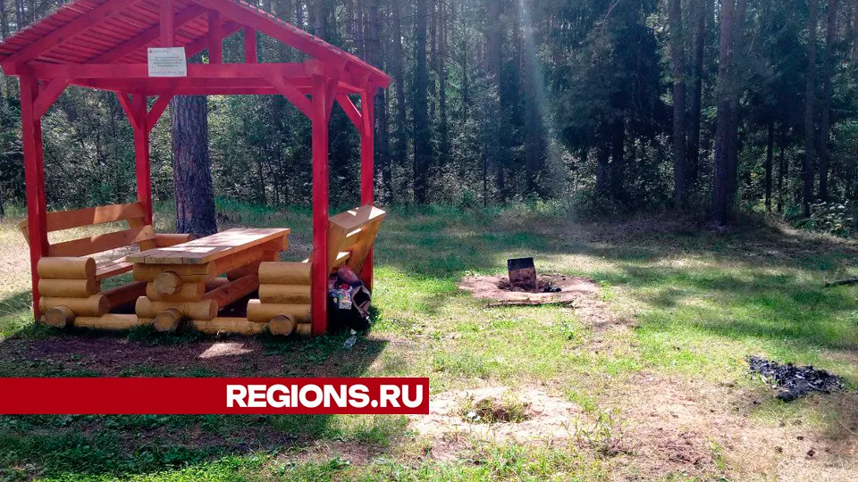 Фото: REGIONS/Василий Тремасов
