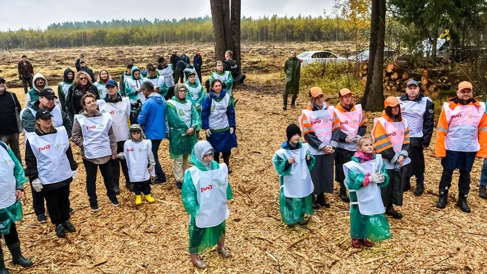 Фото: Комитет лесного хозяйства Московской области