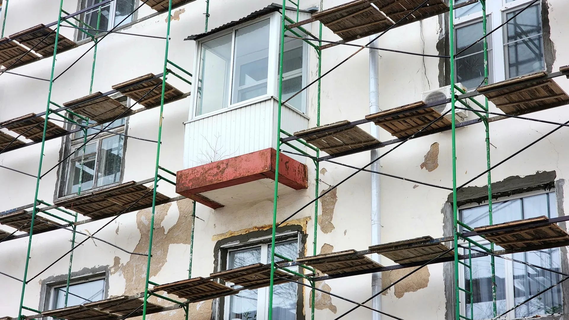 Фото: МедиаБанк Подмосковья/Юлия Унрау