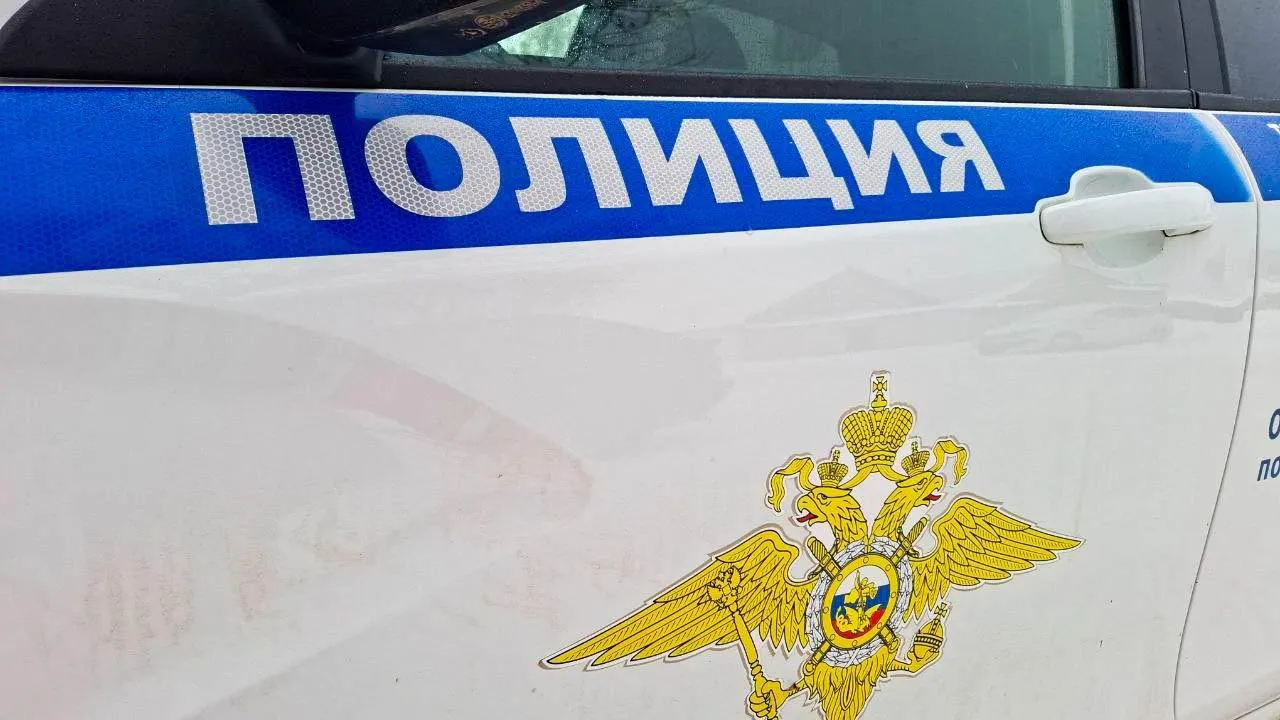 «Подмосковье сегодня»/Юлия Габбасова