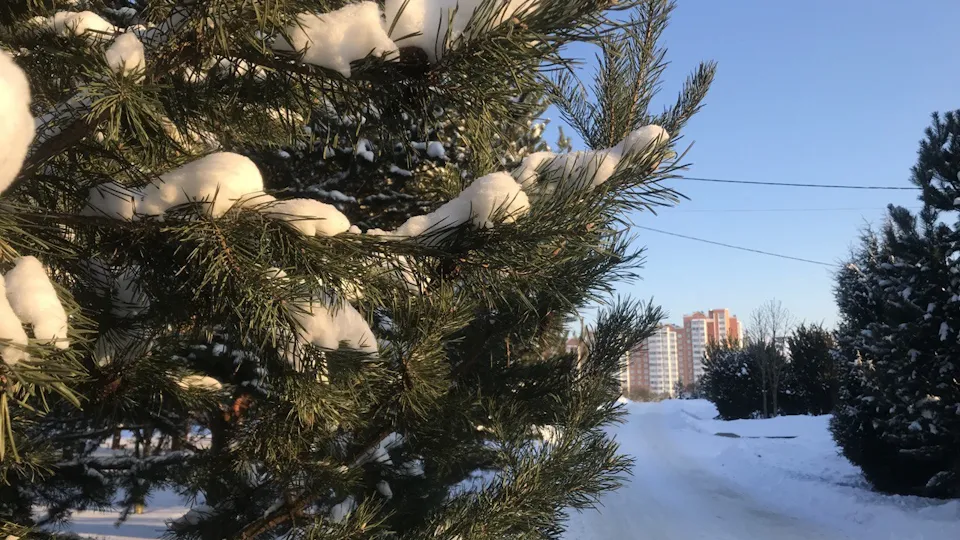 Фото: Любовь Ермакова