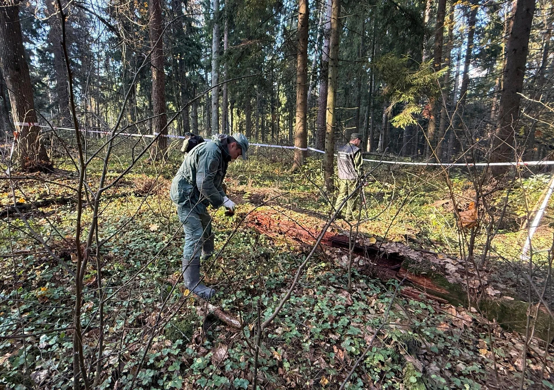 СК по Тверской области