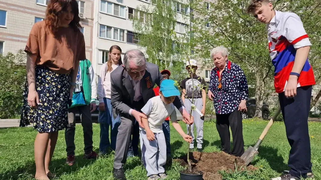 Картинка