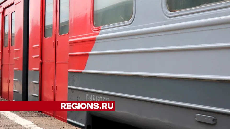 Фото: REGIONS/Василий Тремасов
