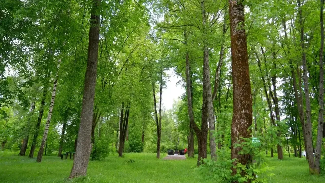 Парк Юннатов