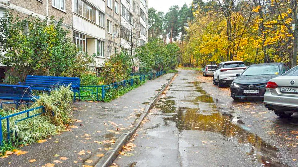 Фото: администрация Лосино-Петровского г.о./Руслан Изотов