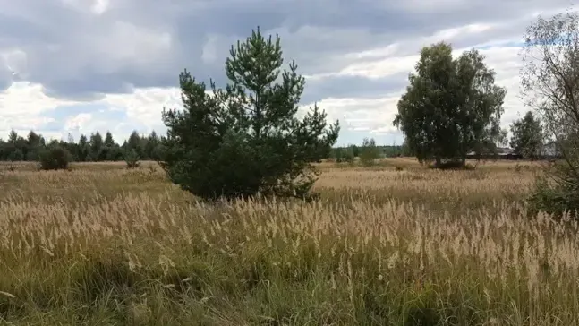 Земельный участок в аренду в Подмосковье