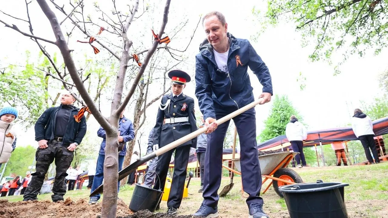 Яблони вместо слов: как Красногорск почтил память героев ко Дню Победы