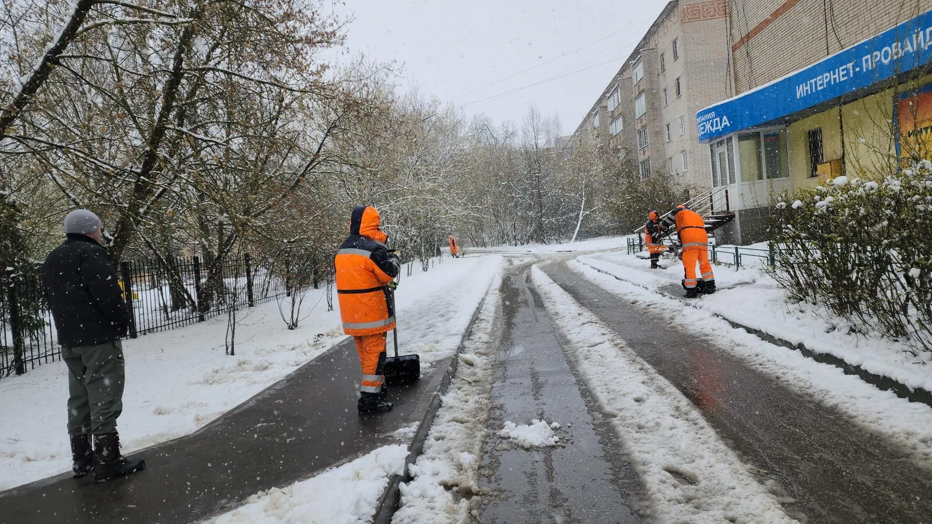 Картинка